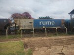 RUMO HPT-032743-3